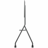 ViewSonic VB-STND-009 Display Cart