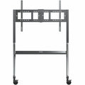 ViewSonic VB-STND-009 Display Cart