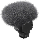 ECM-M1