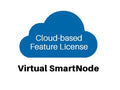Patton CBFL-VSN Virtual SmartNode (Trinity) Cloud License, 1 VM, 12 Months