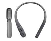 Clear Touch CTS-CM100-245G Voice Amplification Microphone Kit with 2 Mini Clip-on Microphones