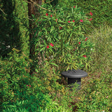 Focal FBUNDLE41L Littora 4.1 Outdoor Speaker Bundle, Light (OD Sub 12 + 4x OD Sat 5)