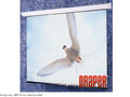 Draper 116368 109 IN DIAG 16X10 MATTWHITE