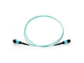 Axiom AXG95104 MPO-MPO OM4 F/M Fiber Cable 8M