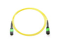 Axiom AXG95129 MPO-MPO OS2 F/F Fiber Cable 1M