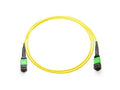 Axiom AXG95161 MPO-MPO OS2 M/M Fiber Cable 1M