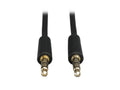 Eaton Tripp Lite P312-001 3.5mm Mini Stereo Audio Cable for Microphones, Speakers and Headphones (M/M), 1 ft. (0.31 m)