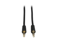 Eaton Tripp Lite P312-006 3.5mm Mini Stereo Audio Cable for Microphones, Speakers and Headphones (M/M), 6 ft. (1.83 m)