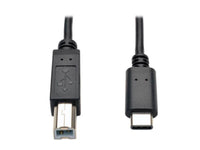 Eaton Tripp Lite U040-006 USB-C to USB-B Cable - USB 2.0, (M/M), 6 ft. (1.83 m)