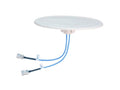 Ventev 214364 617-4000MHz 3/4dBi Omni Ant w 2 NFConns