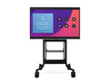 iCart RPS-500-CSB55 Cisco Board 55 and Pro 55 mobile cart. Includes Cisco Board 55/Pro 55 mount, adjustable video camera shelf, 10RU, and adjustable rack shelf. TAA