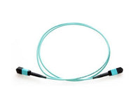 Axiom 980-9I573-00N025-AX MPO-MPO OM4 F/F Fiber Cable 25m