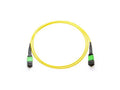 Axiom 980-9I58G-00N030-AX MPO-MPO OS2 F/F Fiber Cable 30m
