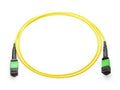 Axiom 980-9I558-00N001-AX MPO-MPO OS2 F/F Fiber Cable 1m