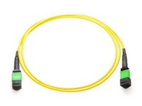 Axiom 980-9I558-00N001-AX MPO-MPO OS2 F/F Fiber Cable 1m
