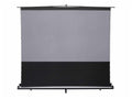 Elite Screens FT102H-CLR5 ezCinema Tab-Tension CLR 5, 102 Diag. 16:9, Manual Floor Pull Up Ceiling Ambient Light Rejecting Screen