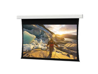 Da-Lite 36915 Tensioned Advantage Deluxe 275" Diag. Da-Mat Electric Projection Screen