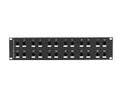 Black Box JSM114A CAT6 Surge-Protected Patch Panel - 2U, 2