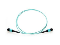 Axiom MPOFFOM430M-AX MPO-MPO OM4 F/F Fiber Cable 30m