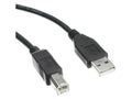 Axiom USB2ABMM06-AX USB 2.0 Type-A to Type-B Cable 6ft