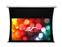 Elite Screens TE110HW2B-E24 CineTension B Series, 110 Diag 16:9, TabTensioned Electric Drop Down Front Projector Screen