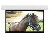 Da-Lite 36992L Advantage 22" x 22" Matte White Electric Projection Screen