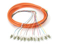 Black Box FOPT50M1-LC-12OR-3 OM1 62.5-Micron Multimode Fiber Optic Pigtail - 12-Strand, OFNR, PVC, LC, Orange, 3-m (9.6-ft.)