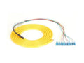 Black Box FOPT50S1-ST-12YL-3 OS2 9-Micron Single-Mode Fiber Optic Pigtail - 12-Strand, OFNR, PVC, ST, Yellow, 3-m (9.6-ft.)