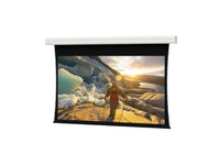Da-Lite 36915E Tensioned Advantage Deluxe 275" Diag. Da-Mat Electric Projection Screen, 220V