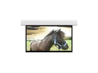 Da-Lite 36990L Advantage 20' x 20' Matte White Electric Projection Screen