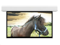 Da-Lite 70257EFL Advantage 222" Diag. 117.5" x 188" Matte White, 220V - Surface, Roller & Motor Assembly Only (installs into matching B case)