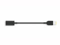 Lenovo 4X90U45346 CABLE_BO USB-C to Slim tip Adapter