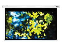 HamiltonBuhl HBS5385 100 Diag. Electric Screen