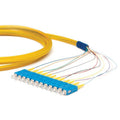 OCC P5GST12-1M Fiber Optic Pigtail Assembly, 12-Fiber, ST/UPC, OM3 50/125 Multimode, 1m