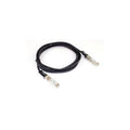 Ruckus E25G-SFP28-TWX-P-0301 25GE SFP28 to SFP28 Pass. Cu Cbl, 3m