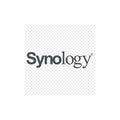 Synology MSD01-256G Industrial-grade microSD Card MSD01-256G (256 GB)