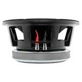PANCADÃO Mid-Bass Loudspeaker 10' 1500 Watts Rms 4-Ohm - detail view | Silarius