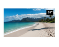 Sharp NEC PN-UN553S PN-UN Series 55" Ultra-Narrow Bezel Full HD Video Wall Display, Black