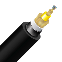 Cleerline 2ACS9125OS2PE-B SSF 2 Strand OS2, Armored Direct Burial Micro Distribution Loose Tube, PE/OSP/Burial, Cut to Order - Per Foot (20 ft Minimum)