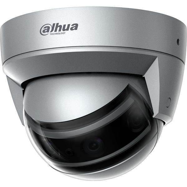 Panoramic Cameras