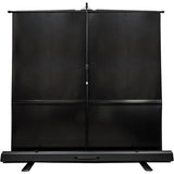 Elite Screens F150NWH ezCinema Series 150" Projection Screen