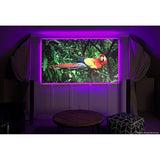 Elite Screens EF110H-PST Polar Star Efinity 110" 16.9 Fixed Frame Projection Screen