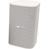Bose Professional 831856-0210 DesignMax DM10S-SUB 10 in. Surface Mount Subwoofer, 300W, White