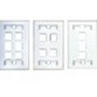 OCC DPSK0601 Faceplate, Double, 6KMJ, 6', White