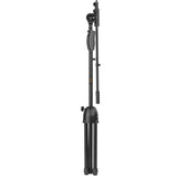 Shure KSM8 Dualdyne Dynamic Handheld Microphone Live Stage Kit (Black)