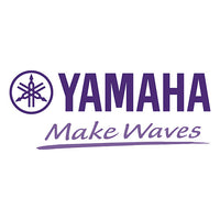 Yamaha R-N800ASL R-N800A Series Network Receiver, 2-Channel, 100W, Silver