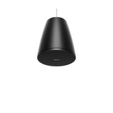 Bose Professional 841166-0120 DesignMax DM5P Loudspeakers, 1-Pair, Black