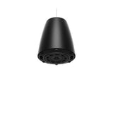 Bose Professional 841168-0120 DesignMax DM6P Loudspeakers, 1-Pair, Black