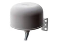 AccelTex ATS-01066 Omnidirectional Wi-Fi Antenna 4668RPSP with RPSMA Plugs (4/6/6/ dBi)