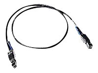 Promise X50CABXL3 SAS Cable 8644 to 8088 3m for VTrak J5000